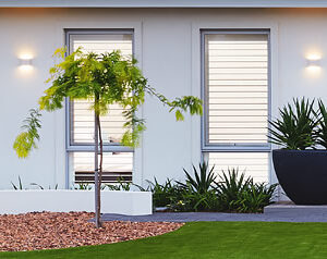 Awning Window